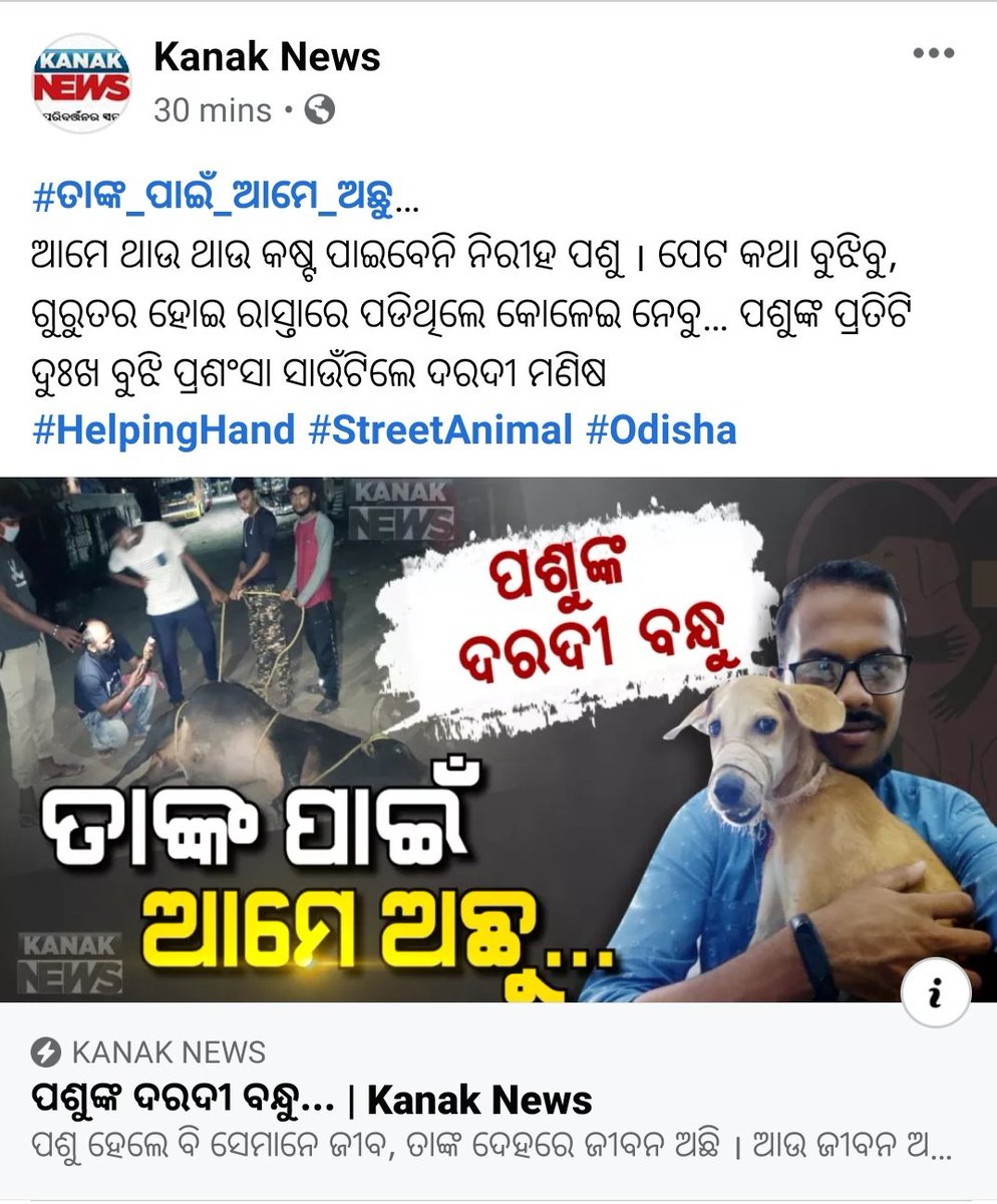 HelpingHandOrg6's tweet photo. https://t.co/JJaIYkAREq
Special thanks to @kanak_news 

For any type of help (feeding, treatment, shelter, donations )
contact us
8342996483 
7008339747
9040511161 https://t.co/QYYhZxrMXT