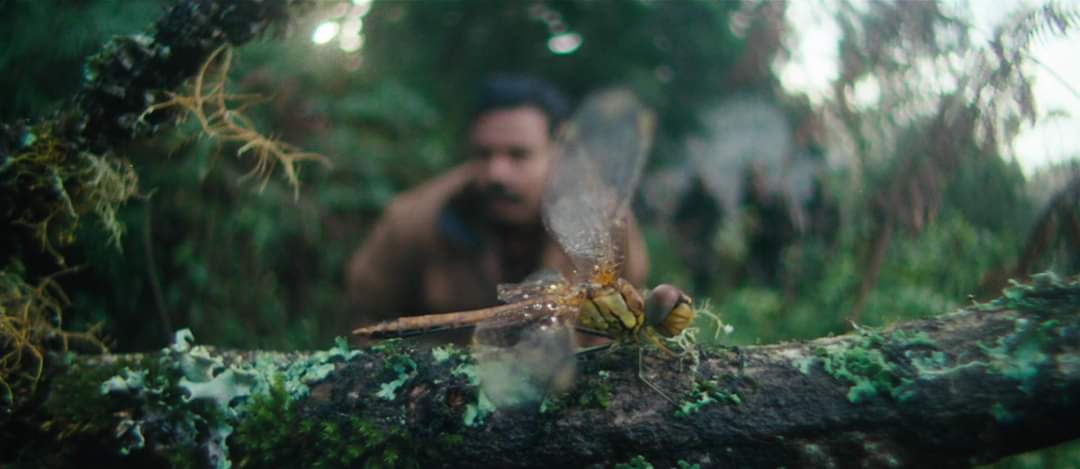  #Raavanan Frames Thread  #10YearsOfRaavanan