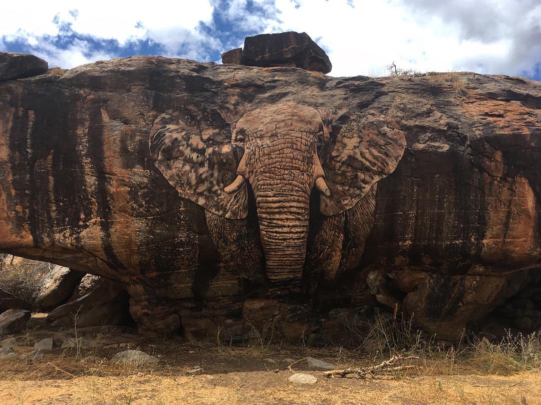 kenyapics's tweet photo. Epic rock art at Reteti Elephant Sanctuary in Samburu. Photo by Kieran Avery https://t.co/GrQEzYJNkb