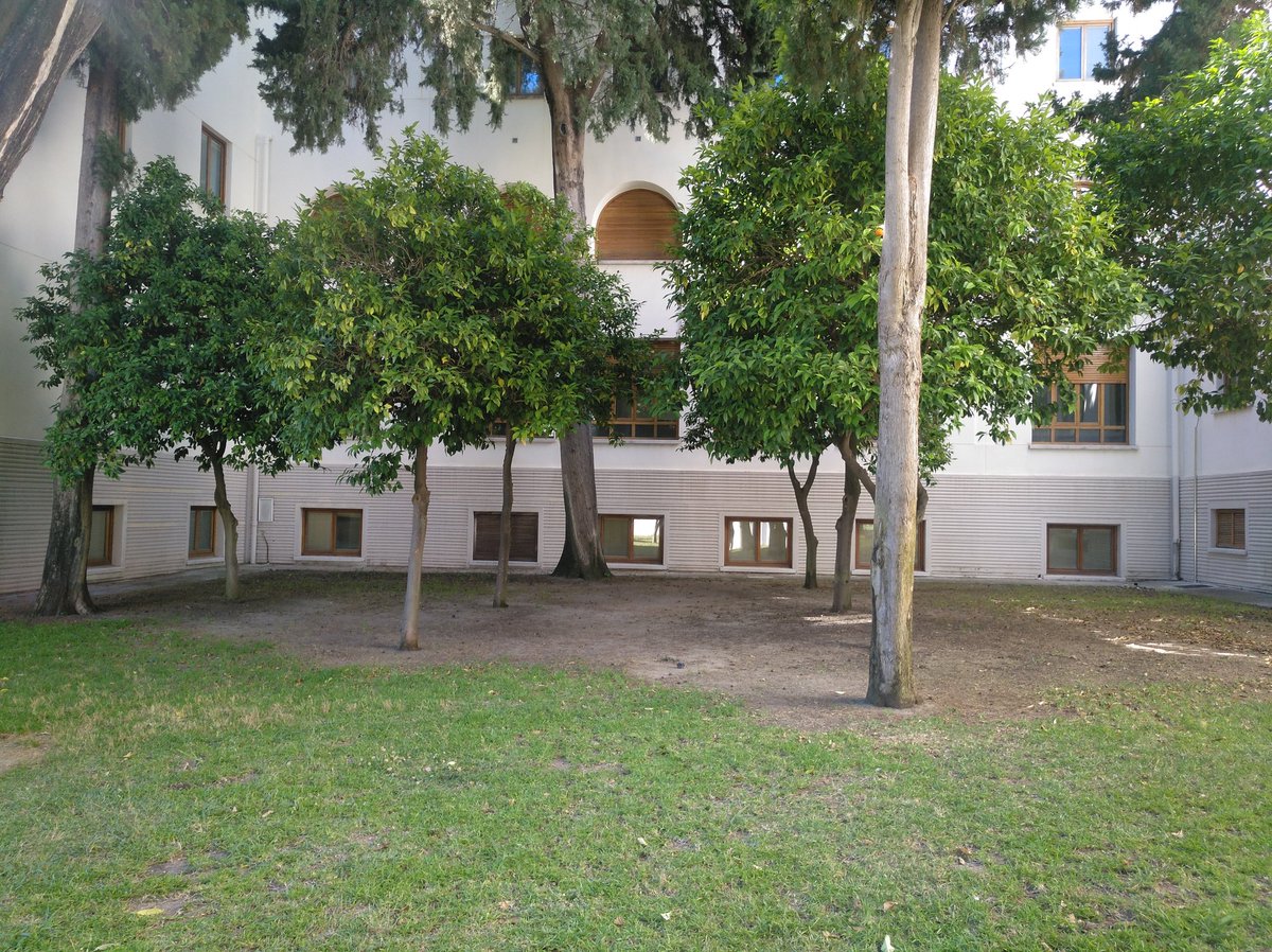 artenanos's tweet image. Nuestro espacio para los campamentos de verano es muy especial. #VeranoconArteenTorremolinos