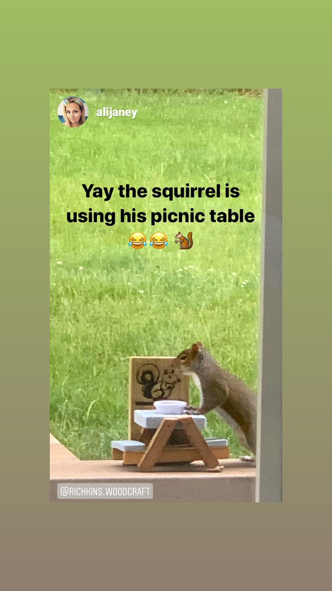 Richkinsmade's tweet photo. @GMB @benshephard @susannareid100
@watkins_martyn
We made a picnic table for our squirrels at Richkins Woodcraft

They love it https://t.co/vaipcfBg2c