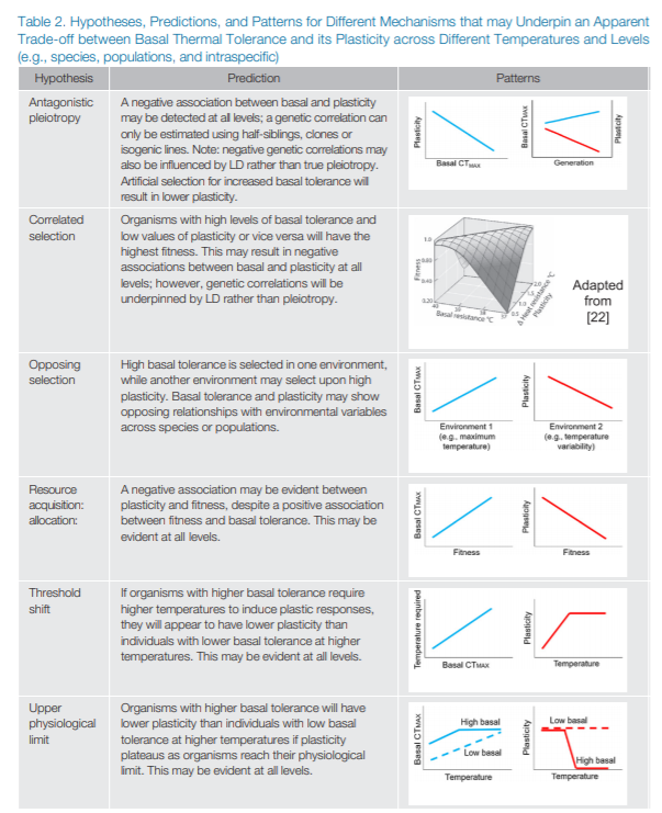 MonashBiol's tweet image. Does Plasticity Trade Off With Basal Heat Tolerance? @bvanheerwaarden  &amp;amp; @vkellermann discuss  the tolerance–plasticity trade-off hypothesis and argue that methodological issues limit our ability to assess this  
cell.com/trends/ecology… #MonashEcology #MonashEvolution