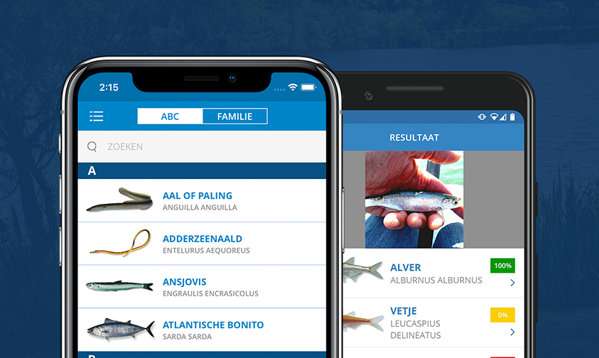 Freed Mobile+Interactive tweet media