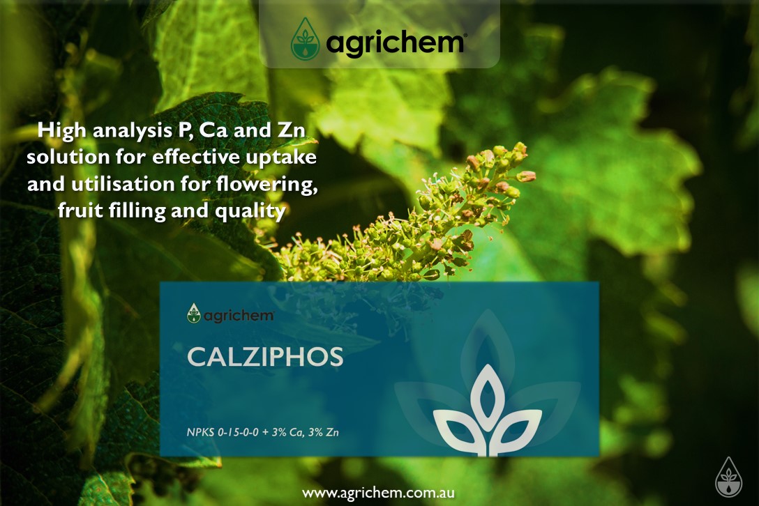 CALZIPHOS
Excellent for post harvest application in deciduous tree crops such as stone &amp; pome fruit
agrichem.com.au/products/