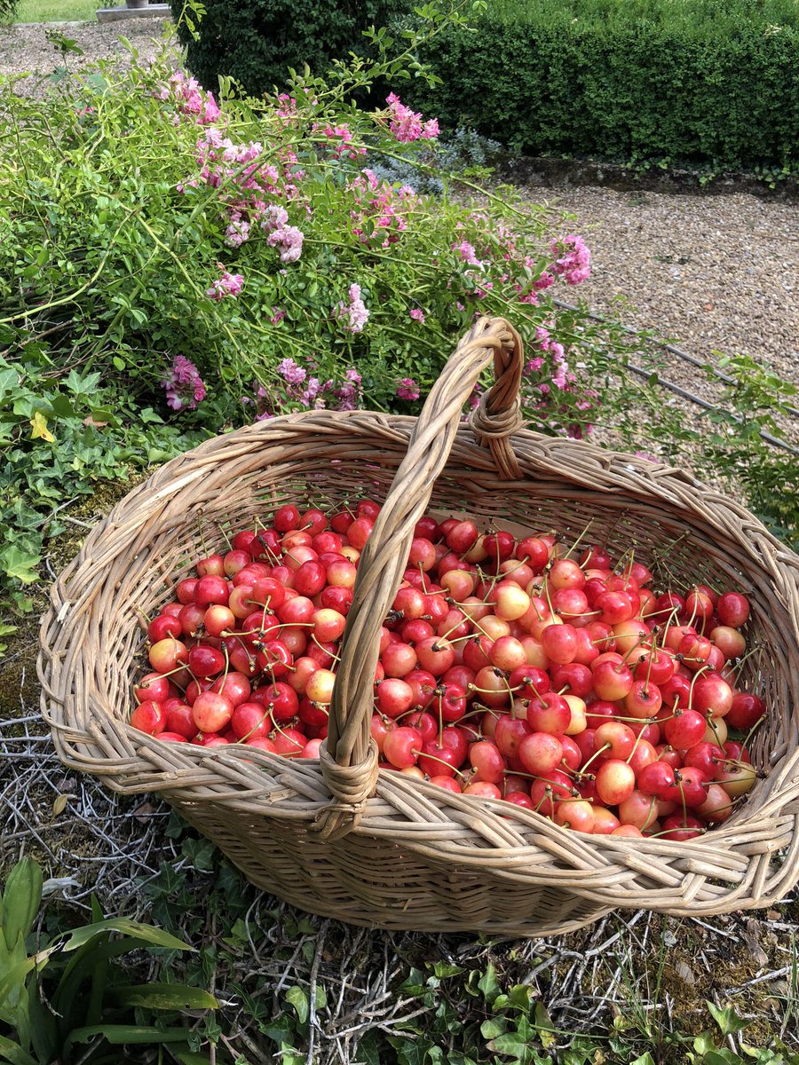 winstonconseil's tweet photo. la franche comté pour cet été !
Vous allez adorer !! https://t.co/q9FjPUsl86