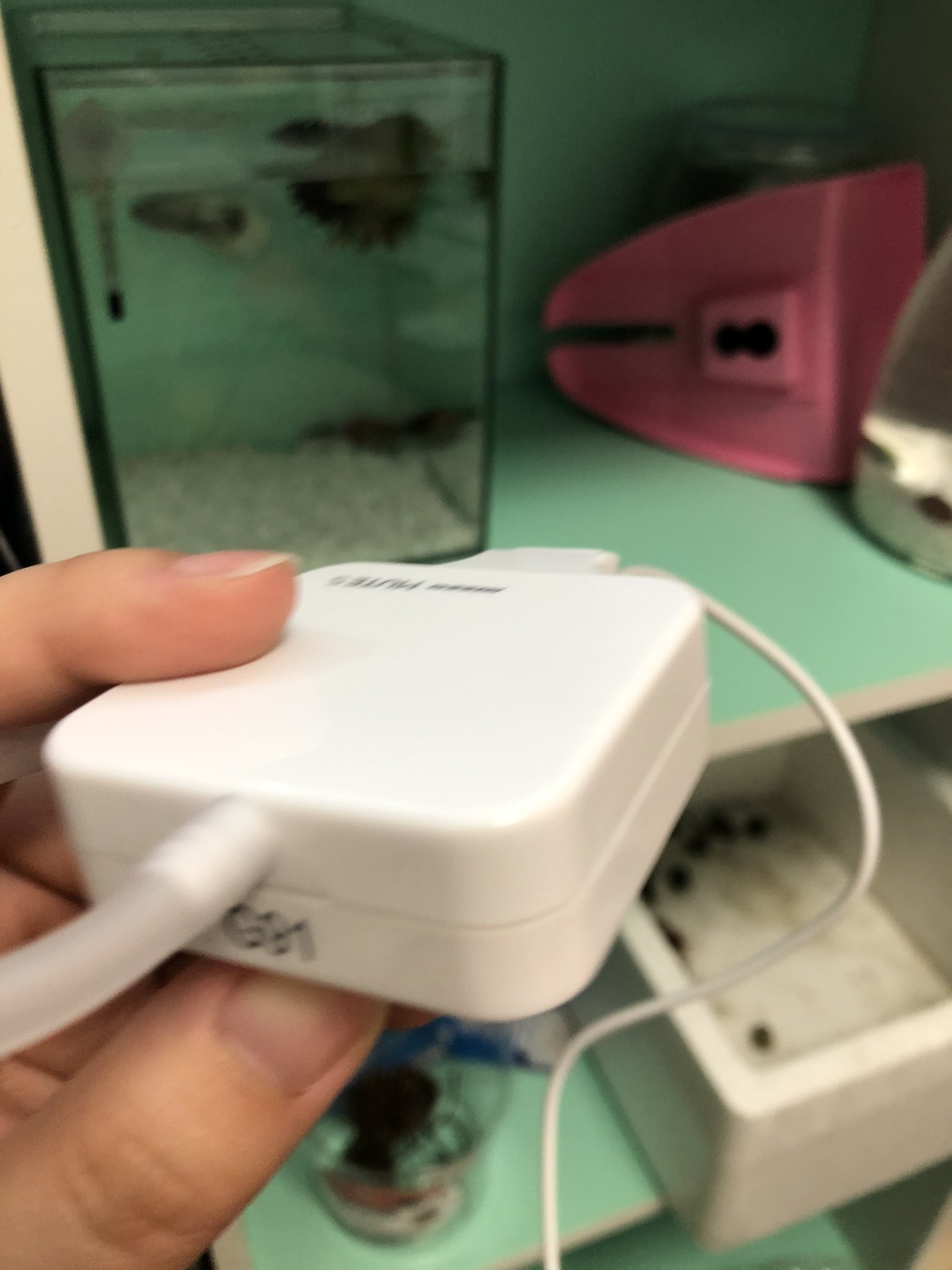 Mst アクアリウム Betta Lv Aqua エアレーションは めだかの水槽でメインで使っているエアーポンプに 2又 分岐バルブ と エアーチューブ エアーストーン を取り付けました 分岐バルブ ホームセンターの 金魚コーナー エアーチューブ ダイソー