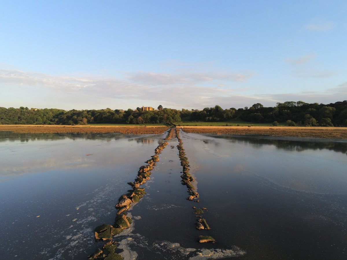 However due to the road on the Marsh near our farm, we can keep ours out longer, and we can go and move them every day, as long as the high tides are during daylight hours.