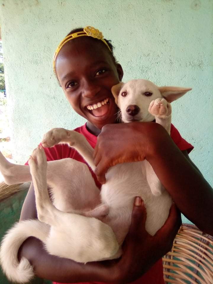 LiberiaAnimal's tweet photo. Princess is one of our Animal Kindness Stars. She and her pet friend "LION" are inspiration for other children and the community. 
#HumaneEdcation #Kindness #Compassion #AnimalsMatter #Animals #StopAnimalAbuse #HelpAnimals #PeaceBuilding #Dogs #Cats #OneHealth #OneWelfare https://t.co/gb7Qzq9nmv