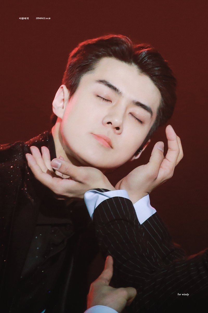 Sehun as kittens: A short thread because I miss my baby