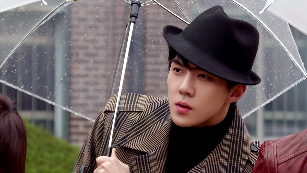 Sehun as kittens: A short thread because I miss my baby