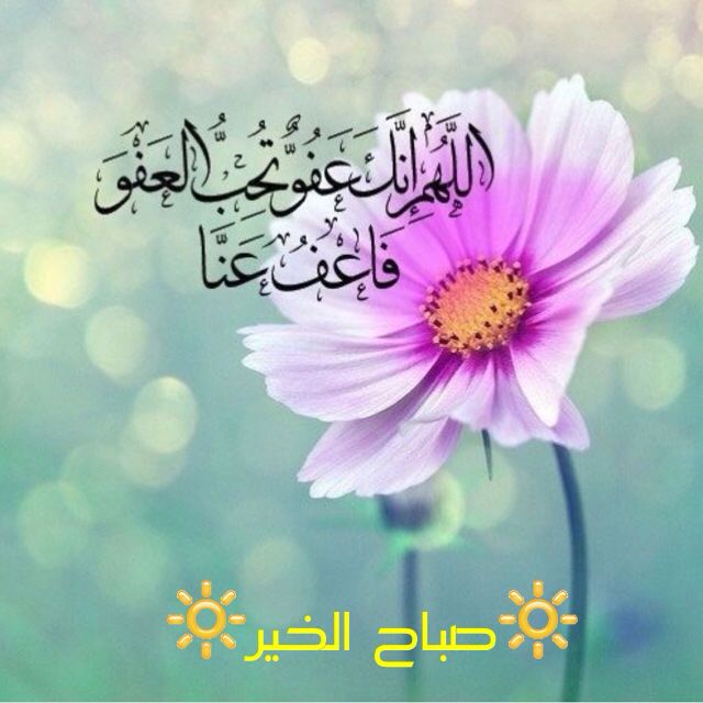 ريهام (@reham_alnaka) on Twitter photo 