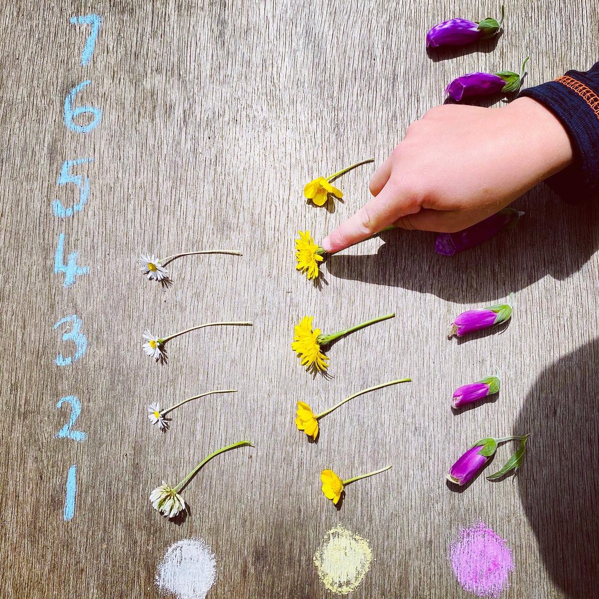 weeSTEMs's tweet photo. 📊 Graphs 📊
Kids love organising and sorting things - so with a little bit of guidance this can be a great learning opportunity.
#graphs #flowergraphs #cargraphs #maths #mathsgames #mathsindoors #mathsoutdoors #indoormaths #outdoormaths #outdoorlearning #naturalresources https://t.co/AdPb5A5VHt