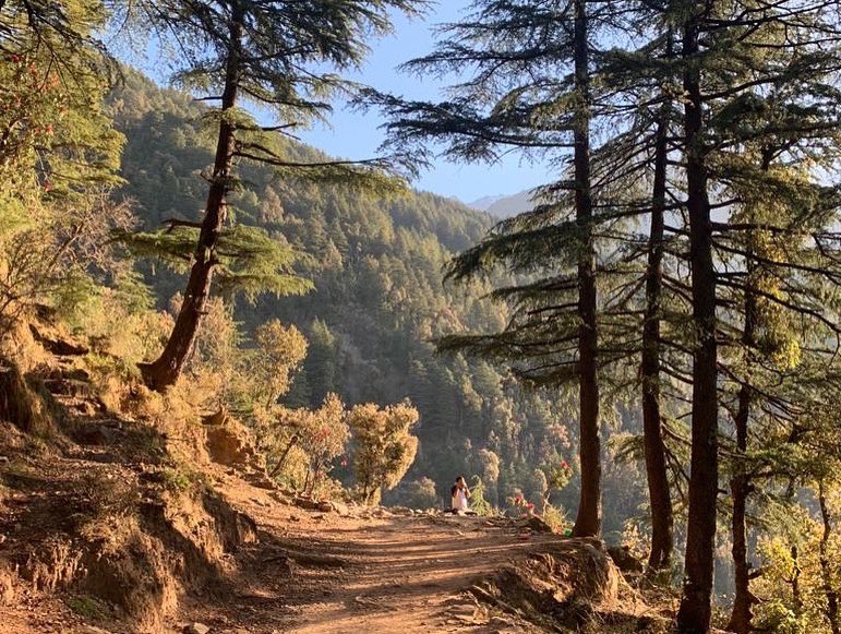 altlifehostels's tweet photo. Do you have a place that you constantly miss?
#Livethealtlife #altlifedharamkot #dharamshala #mcleodganj #dharamkot #mountains #mountainhostel #hostelworld #hostellinginternational #covid19era #hostellife #greatindianhostel #lonelyplanetindia #meettheworld #tripotocommunity https://t.co/kIeXDAg2Br