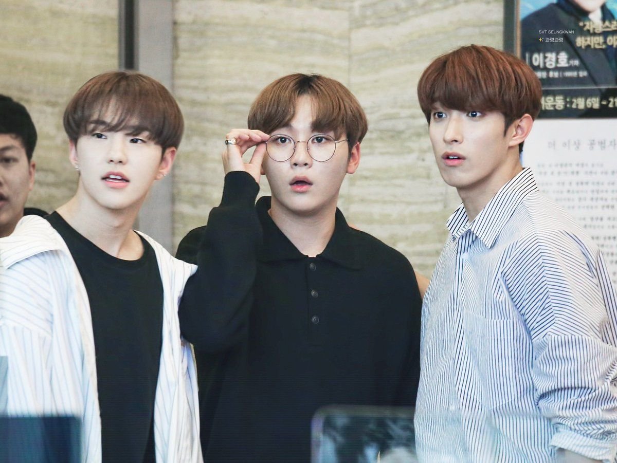 Oniku Squad/BooSeokSoon- two other groups of three who share the same braincell- also probably interchangeable tbh- in charge of comedy- hella intimidating if they want to be