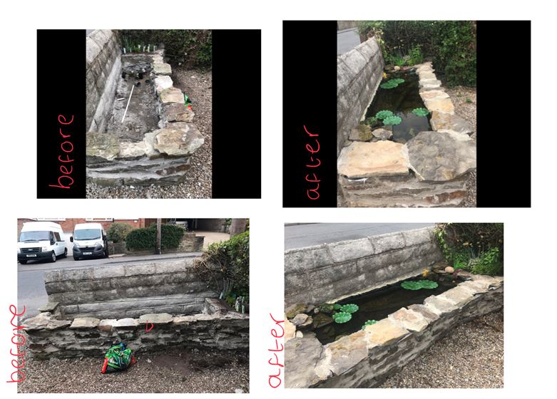 Hannah has amazed Mr Shortman with her science project by building a pond (with the help of Dad!). Not only this, but she she has written a weekly diary entry about the new critters it has welcomed and the biodiversity it has developed. WE ARE SO IMPRESSED!! <a href="/DHFSUpdate/">D H F S</a>