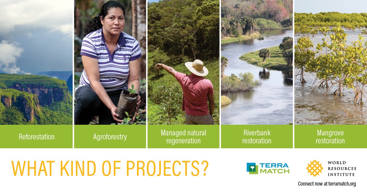 restoreforward's tweet photo. #TerraMatch connects funders to project developers with years of experience. It helps get thousands of trees in the ground quickly without sacrificing quality or long-term success. https://t.co/A0af7k79nk @CIFOR @dewittsean @NewClimateEcon https://t.co/gjfqtItM2l