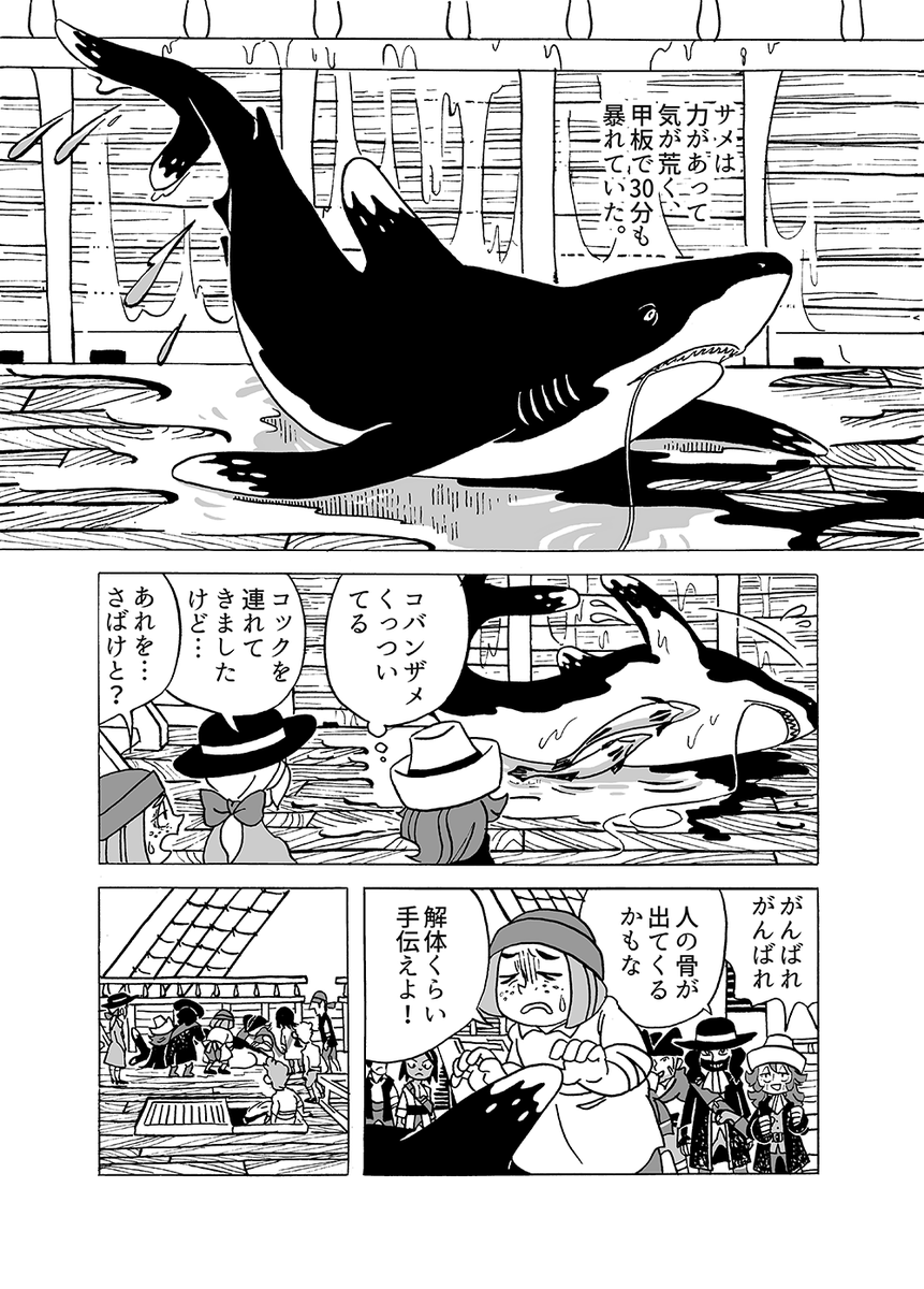 (5/6) 