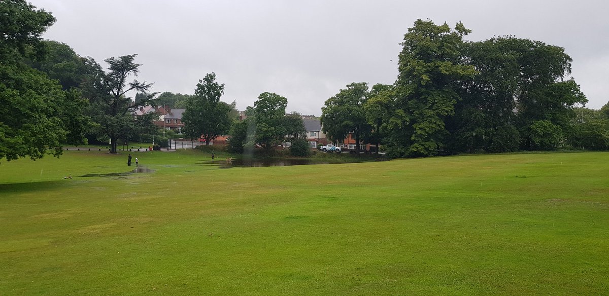 Very soggy meadow  @WarleyWoods1 today.A stream appeared in the middle, and the pool which is on Humphrey Reptons original design has reappeared!