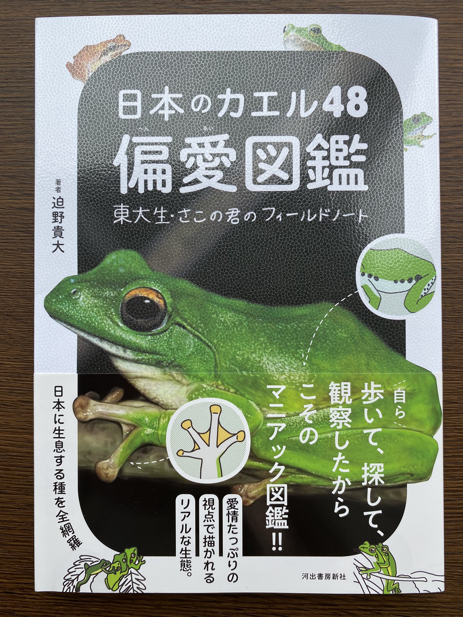 日本のカエル Twitter Search Twitter