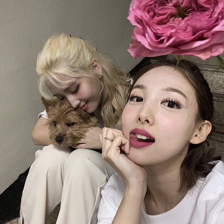 namopics's tweet photo. 🌺 https://t.co/nc5gOrTvvk