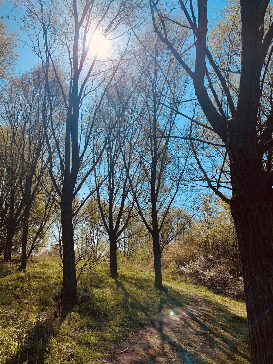 At the start of the  #coronavirus lockdown (if you can remember that far back!), we were blessed with BEAUTIFUL weather. It seemed like the sun shone solidly for the first few weeks as we all adjusted to this new way of life.