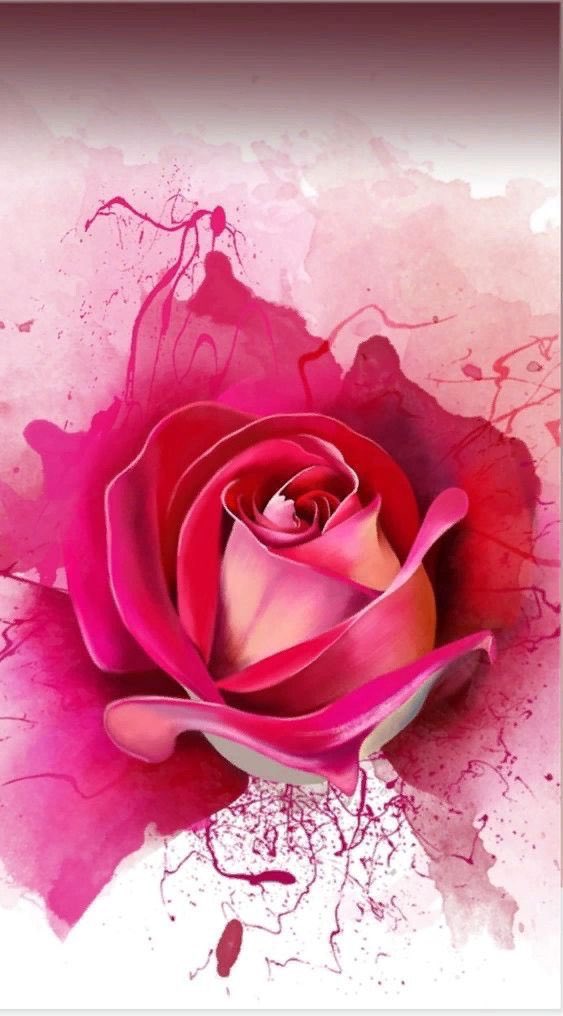 Qpak_1's tweet photo. #GIFTeam
Gain instant Followers
@Angel_Pukhtana1
@DrMahZala
@EKohee
@Gul_Pari19
@sk2_d
@Slo_786
@40Nabeel
@ImranAl67
@5areej7
@Chkhan786
@RehanaK57241278 https://t.co/iSexQ6jflC
