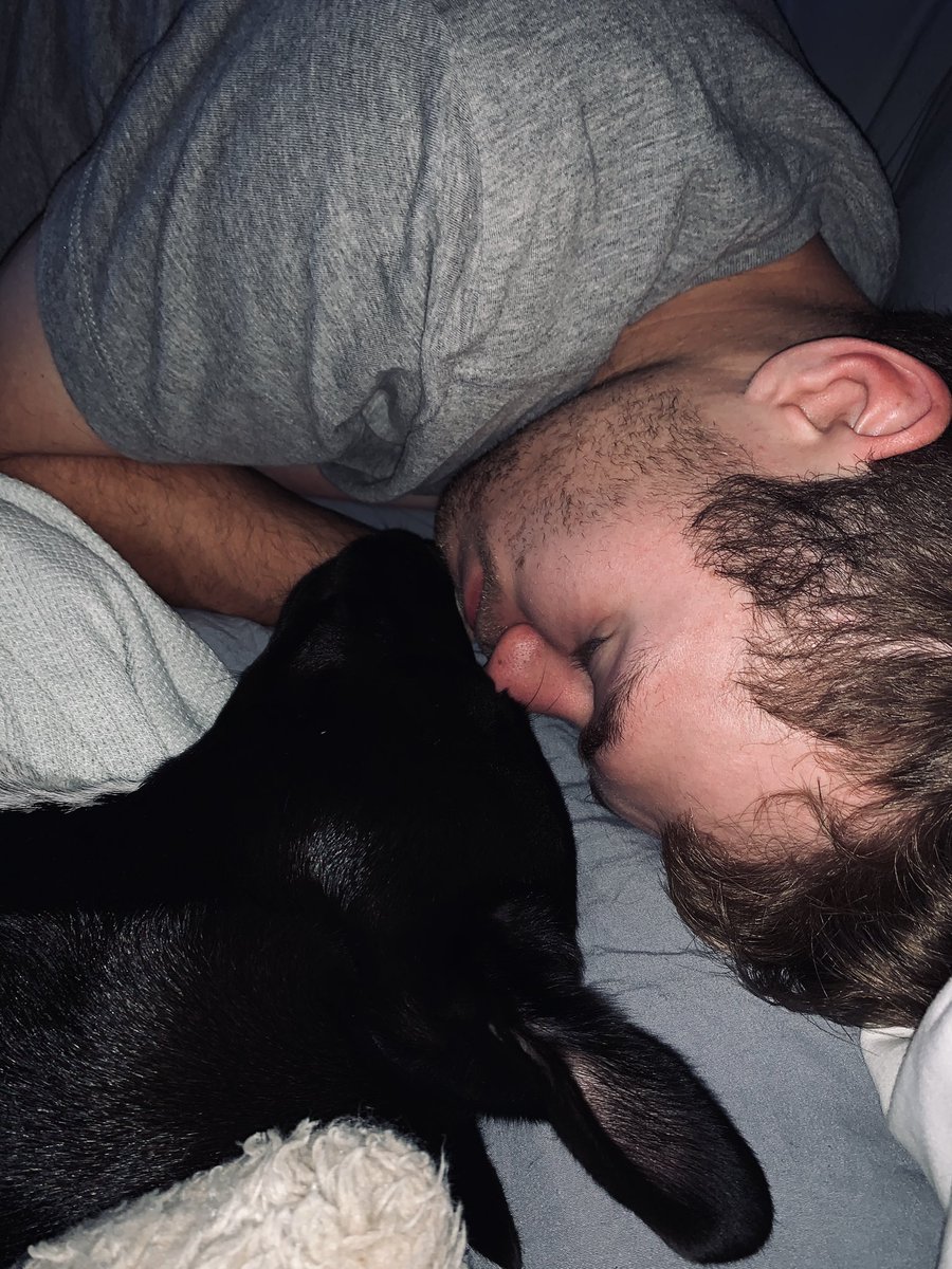 HayleaV's tweet photo. My boys 💛
@lescatre_eric https://t.co/rPTeLEzGzG