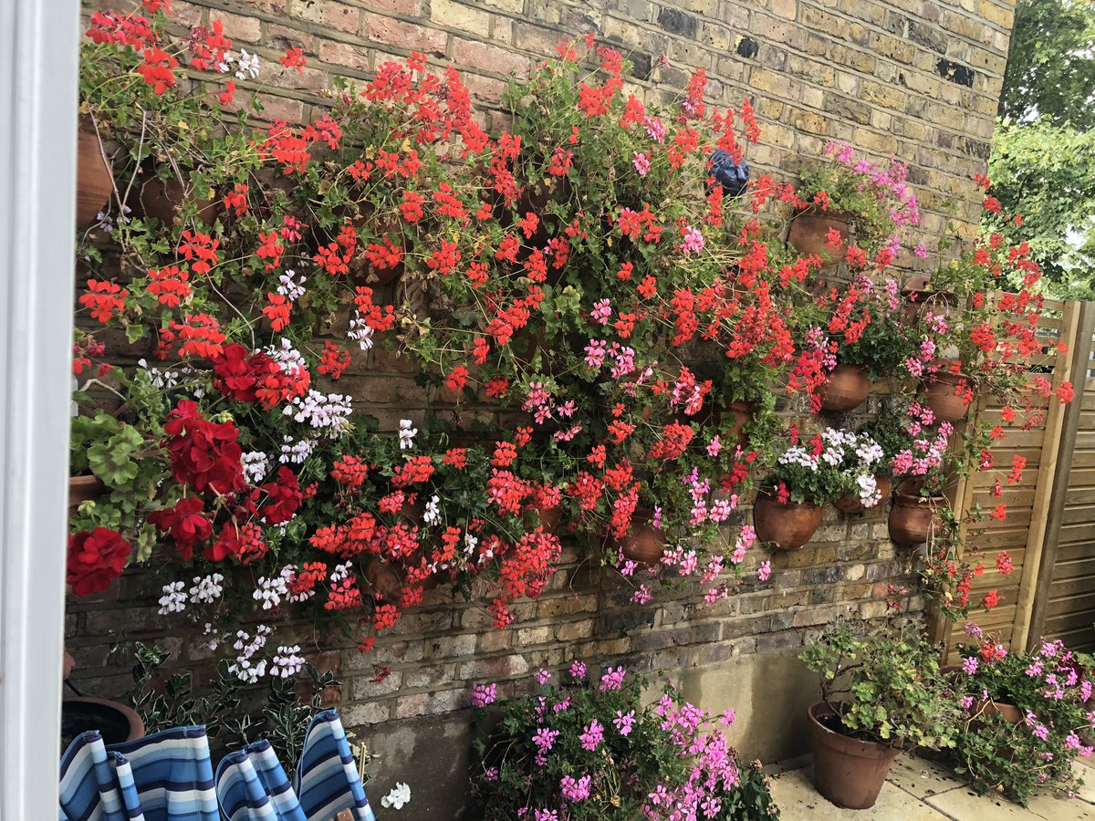 🌹💐💐🌾🌻🌼🌸🌺🥀🌞