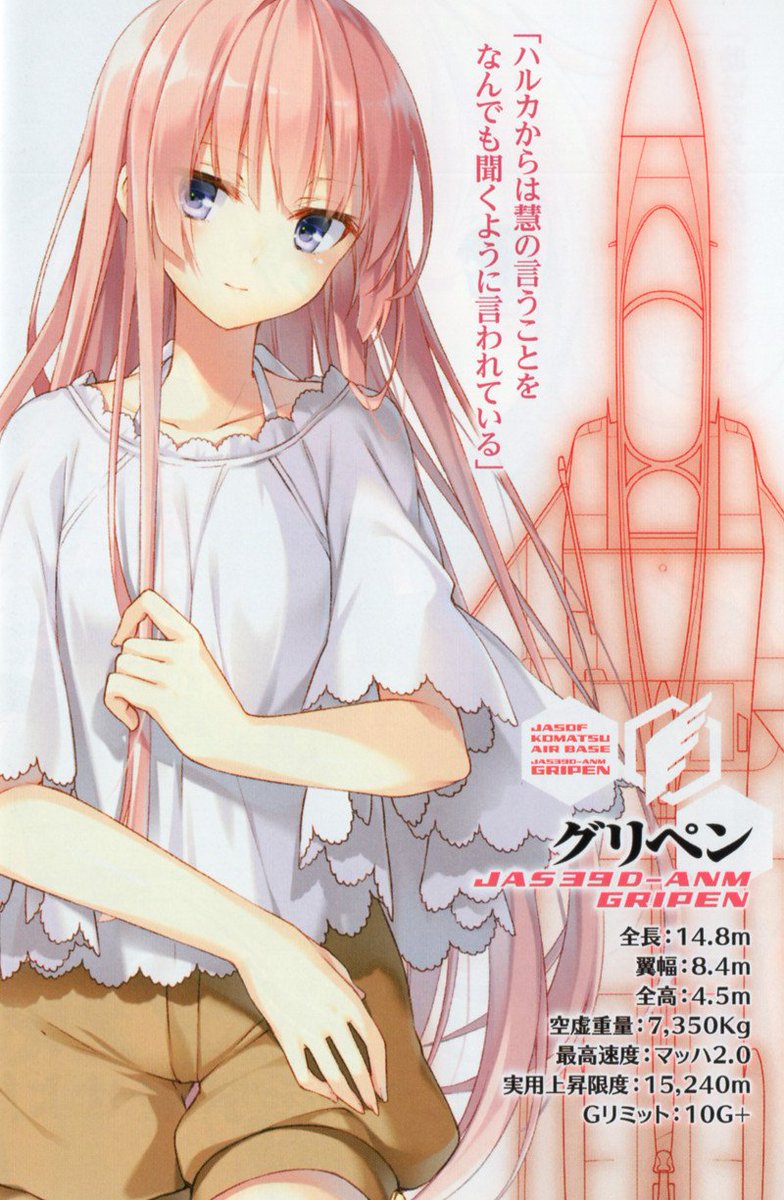 わぎゃー この子孫のグリペンちゃんは ポンコツかわいい 実機の性能の事ではない Saab Jas 39 Gripen Girlyairforce ガーリーエアフォース