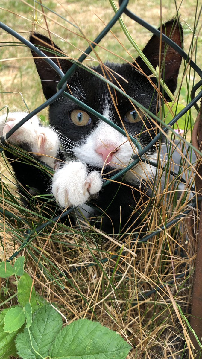 Marioara Iacoban (@marioaraiacoba1) on Twitter photo 