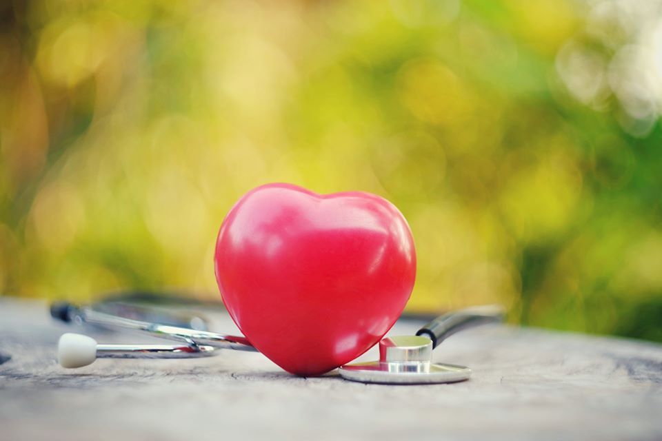 Exeter Med School tweet media