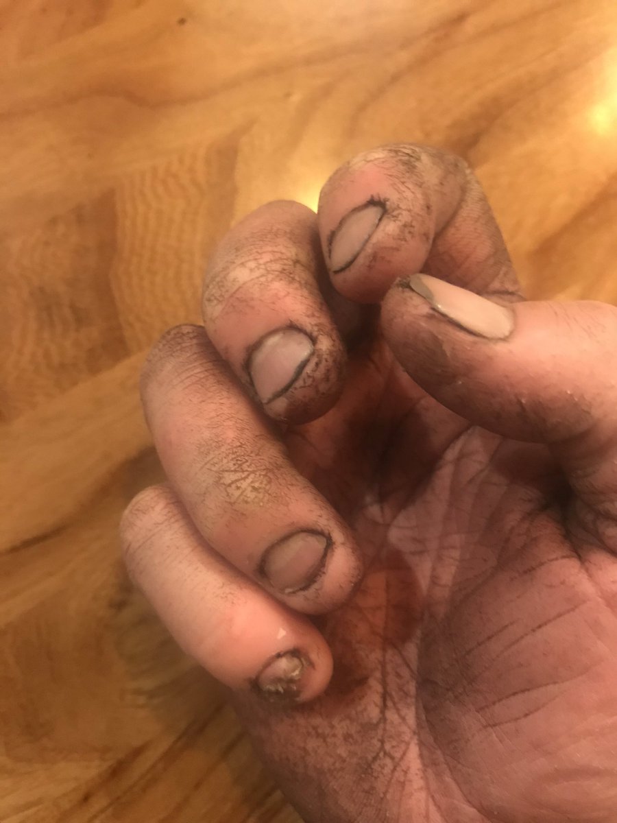 William Morrison tweet media