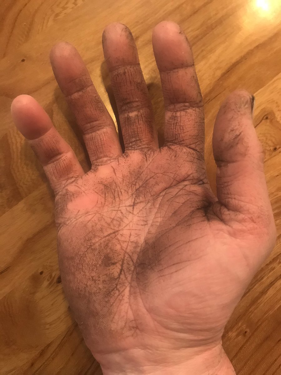 William Morrison tweet media