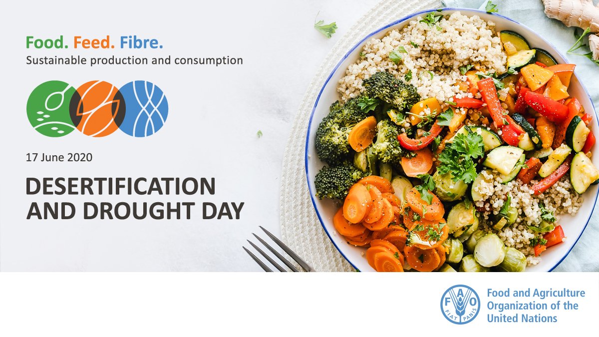 FAOEthiopia's tweet photo. 🏜️Today is the World Day to Combat Desertification and Drought! #DesertificationAndDroughtDay 

By making responsible choices in our diet 🍲 and daily life, we can protect land 🌳, save water 💧, and reduce #GHG emissions 🌏

#FoodFeedFibre #2020WDCD https://t.co/oWNucIjwPX https://t.co/xeV4Im6kSA