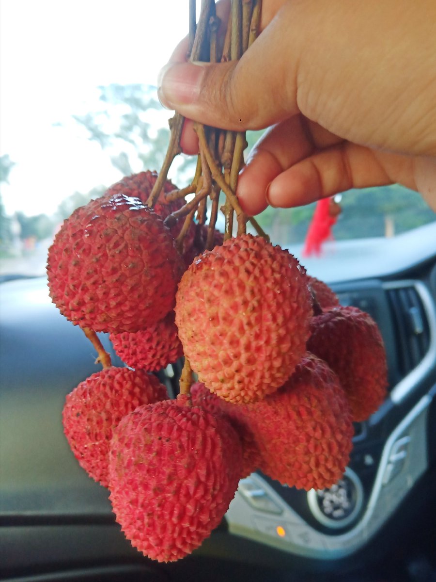 cnmsaikia's tweet photo. তেজপুৰৰ লিচুৰ সোৱাদেই সুকীয়া
#tezpur #foodyme #tastylitchi https://t.co/rsaQQuDVUe