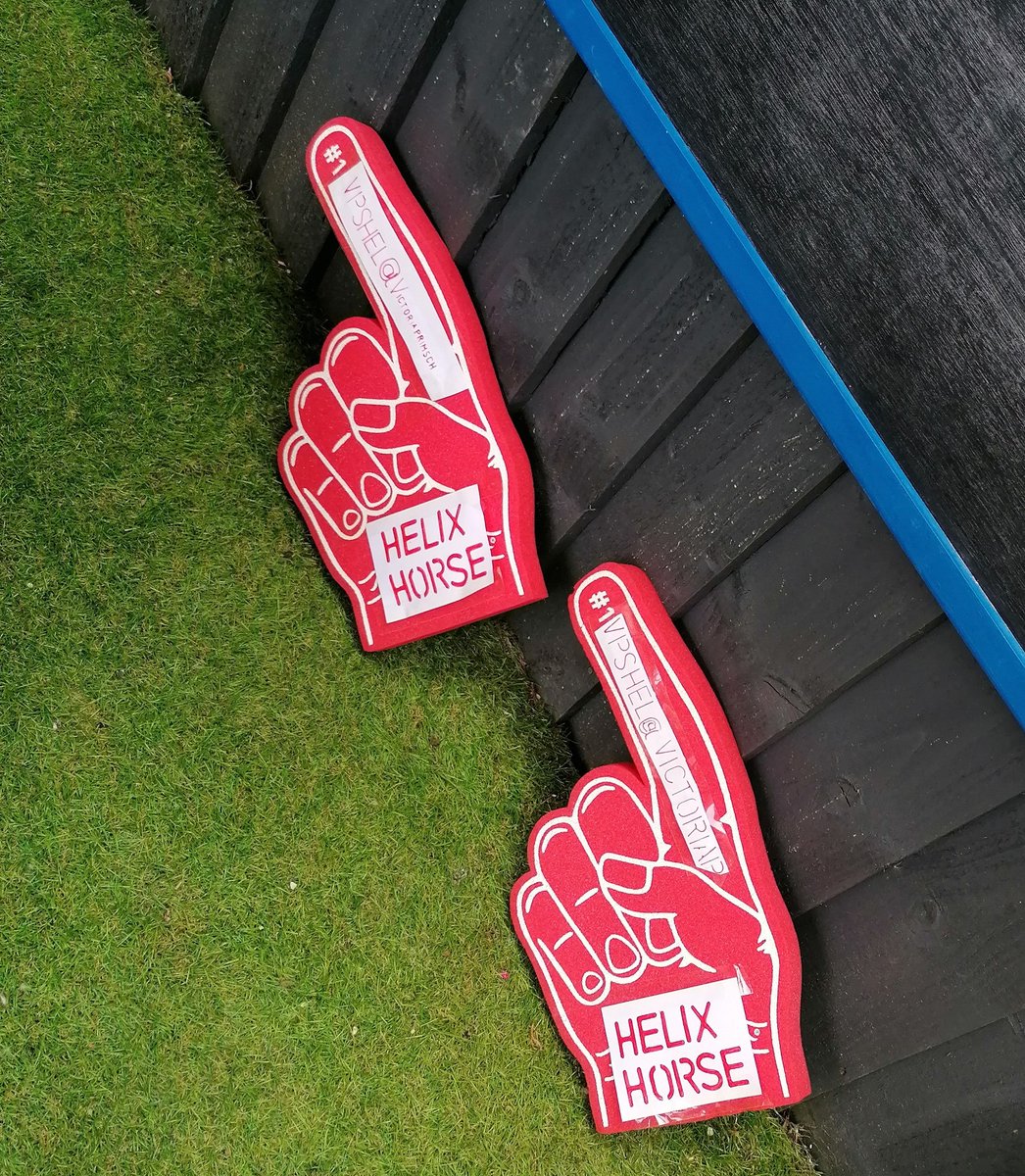 WendySm54126618's tweet image. @VictoriaPrimSch #vpshel the helix horses are raring to go at Wendy&apos;s house today! 🏡🐎🐴🐴🌈👍🏆🏅