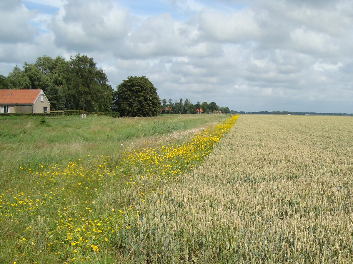 "Voor een #klimaatbeleid moet de sector eerst weer losgetrokken worden"

Lees het korte verslag door <a href="/alexisderoode/">Alexis de Roode</a> van deel 4 van het #foodfriend debat 2020: foodlog.nl/artikel/voor-e…
<a href="/RuitenbeekBert/">Bert van Ruitenbeek</a> 

Foto: Natuurinclusieve landbouw (CLM)