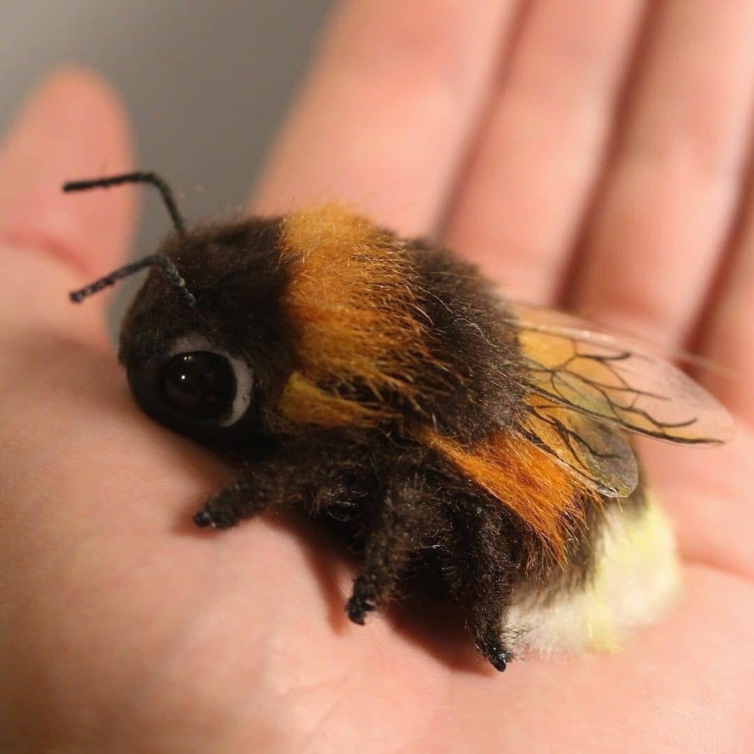 blakcchicken's tweet photo. Mood на день: хочу плюшевого шмеля🐝🗿 https://t.co/ro9bsnwBkr