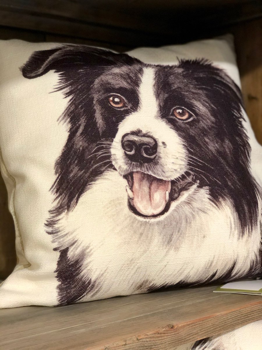 Reasons to visit our shop: Cute #dog cushions that you just can't say no to! 🐶

We have various styles/ breeds available, perfect for you animal lovers out there! Pop in and have a browse.

#home #homedecor #interiors #dogs #animals
