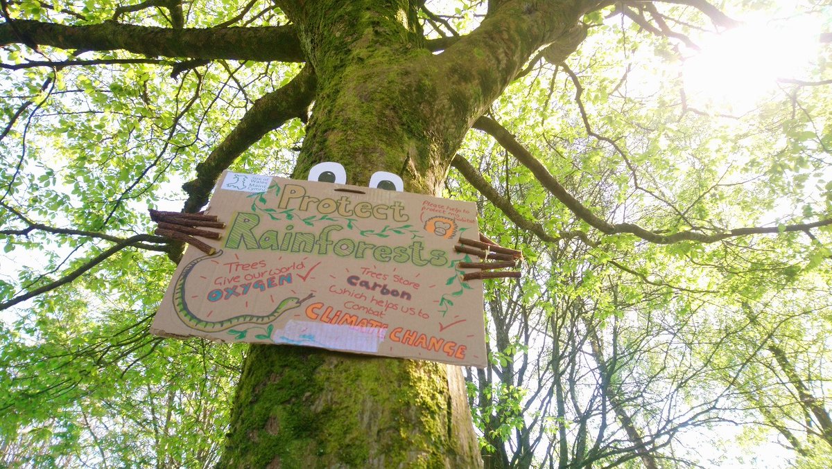 sizeofwales's tweet photo. Today’s NEW #SowDailyActivity is to Create a ‘Talking Tree’ sign! Remember to tag @sizeofwales and share your #TalkingTrees with us – so we can share your work and inspire even more Talking Trees! We’re excited to hear what they have to say #homeschooling➡️https://t.co/IjvU9xpj5f https://t.co/t5qk95gSlD
