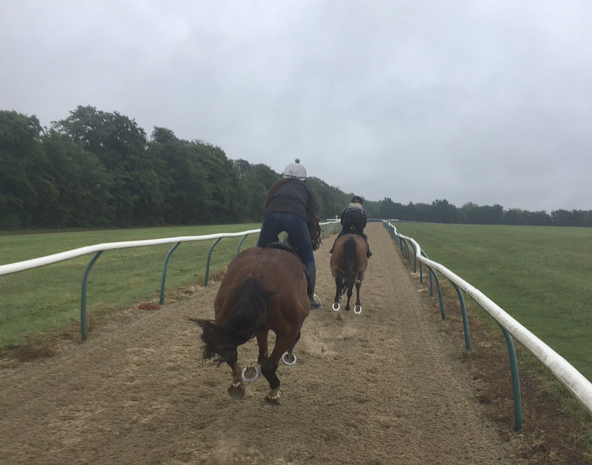 JohnWathenBerry's tweet photo. Midmorning and it’s now just light rain @NewmarketGallop. Hopefully we’ll get some sunshine this afternoon/evening #DasKapital #HopeIsHigh https://t.co/GmObNVdur3