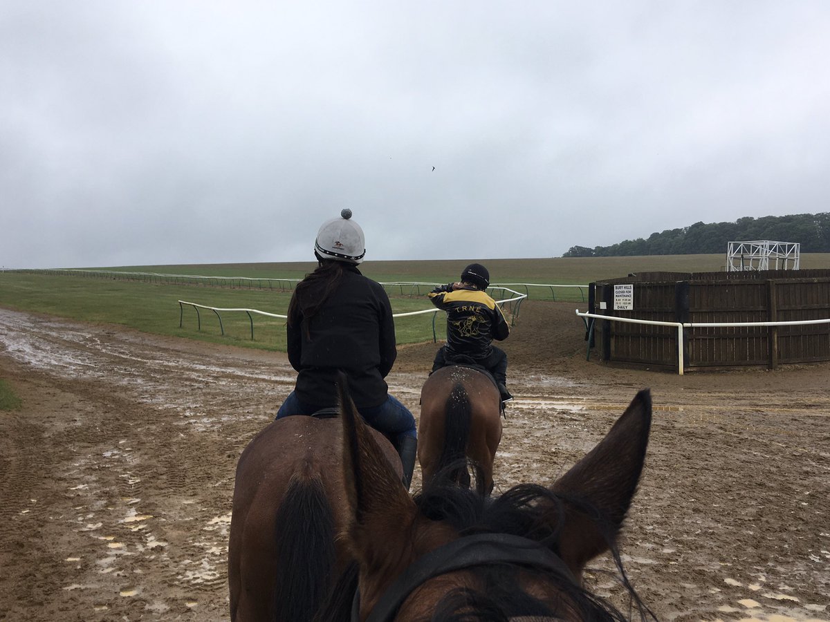 JohnWathenBerry's tweet photo. Midmorning and it’s now just light rain @NewmarketGallop. Hopefully we’ll get some sunshine this afternoon/evening #DasKapital #HopeIsHigh https://t.co/GmObNVdur3