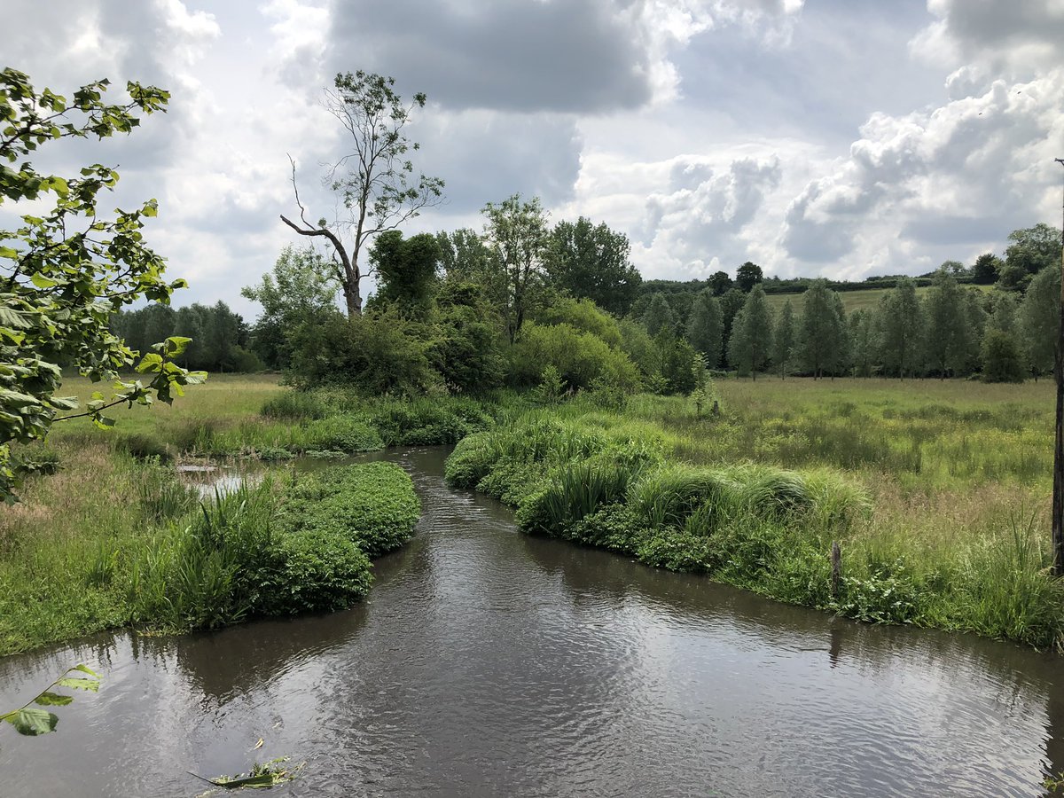 talesbytheriver's tweet photo. A trip down memory lane, well Blackwell Hall Lane to a place which was my playground as a child. I spent many hours playing in or around the River Chess observing wildlife and catching the odd trout @RiverChess #river #chalkstream #comservation https://t.co/8kcXHGnqf7