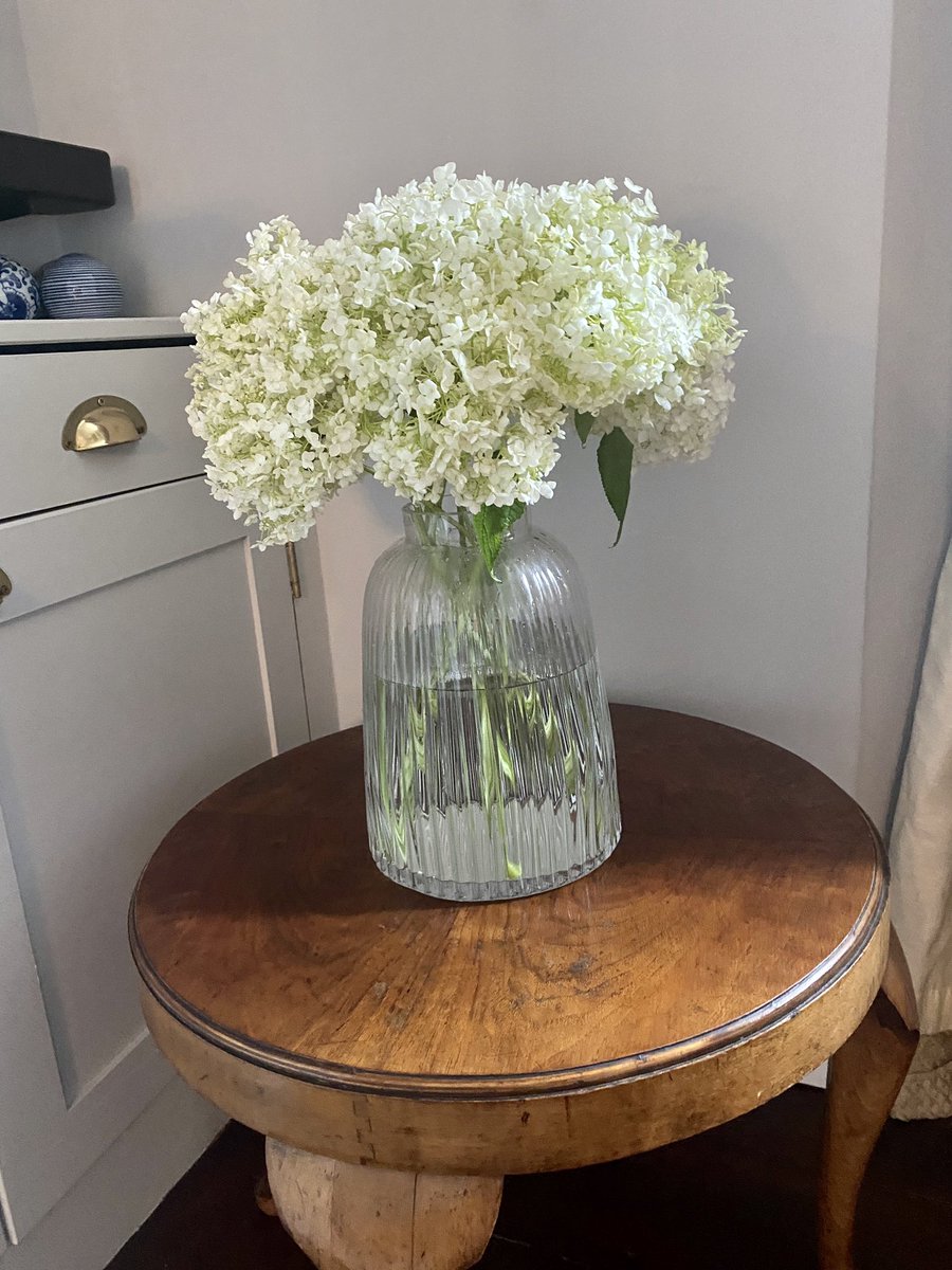 e18yoga's tweet photo. All this rain! Much needed but playing havoc with my hydrangea Annabelle. There’s always an upside the flowers that were too heavy for the rain are now on display in my house! #hydrangeaannabelle #e18whitegarden #ngsopengardens @ E18yoga South Woodford https://t.co/daOQjOmmdy