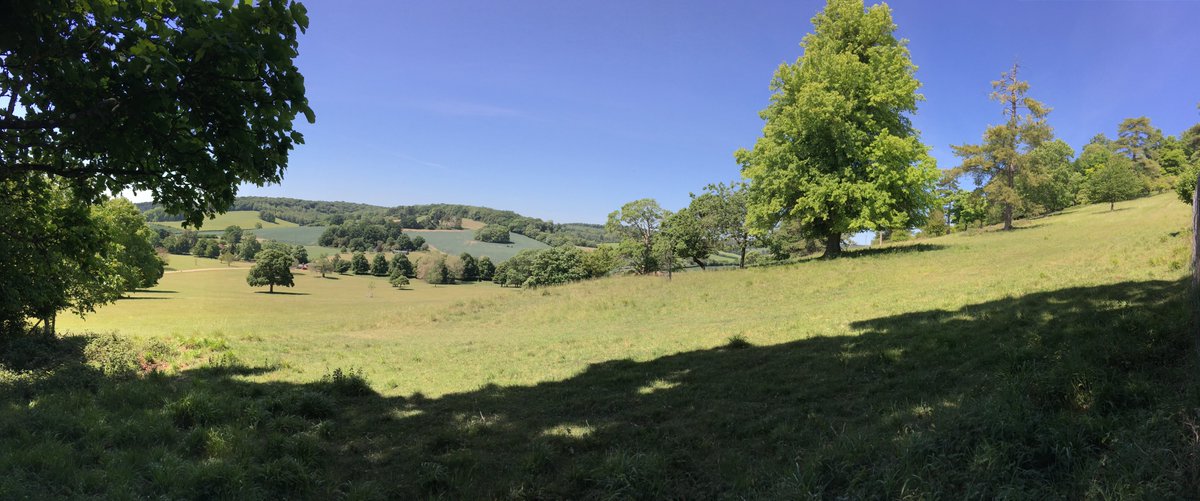 Matt Thomson tweet media