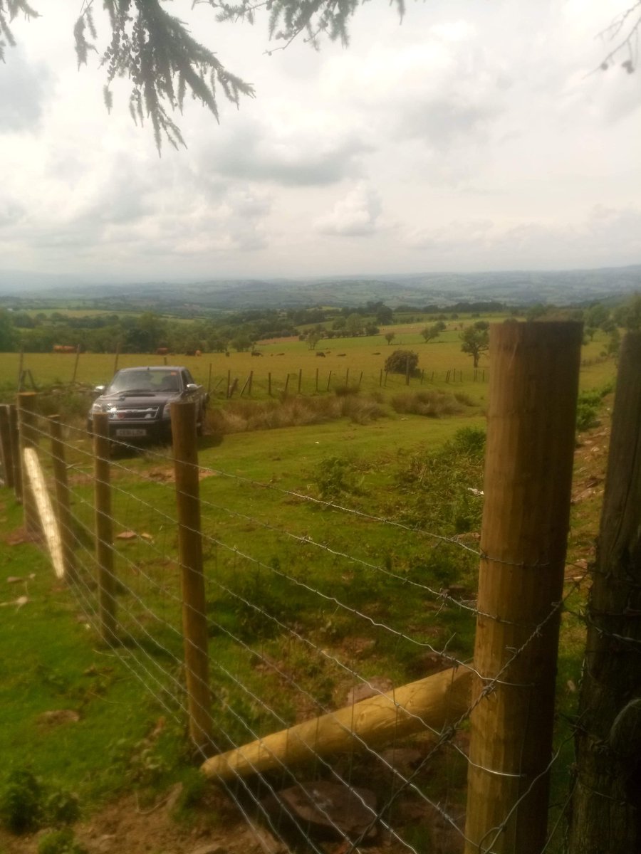 BlackMountainsLUP tweet media