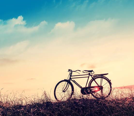 Akıllı insan kimseyle yarışmaz; böylece kimse ona karşı kazanamaz.

Lao Tzu