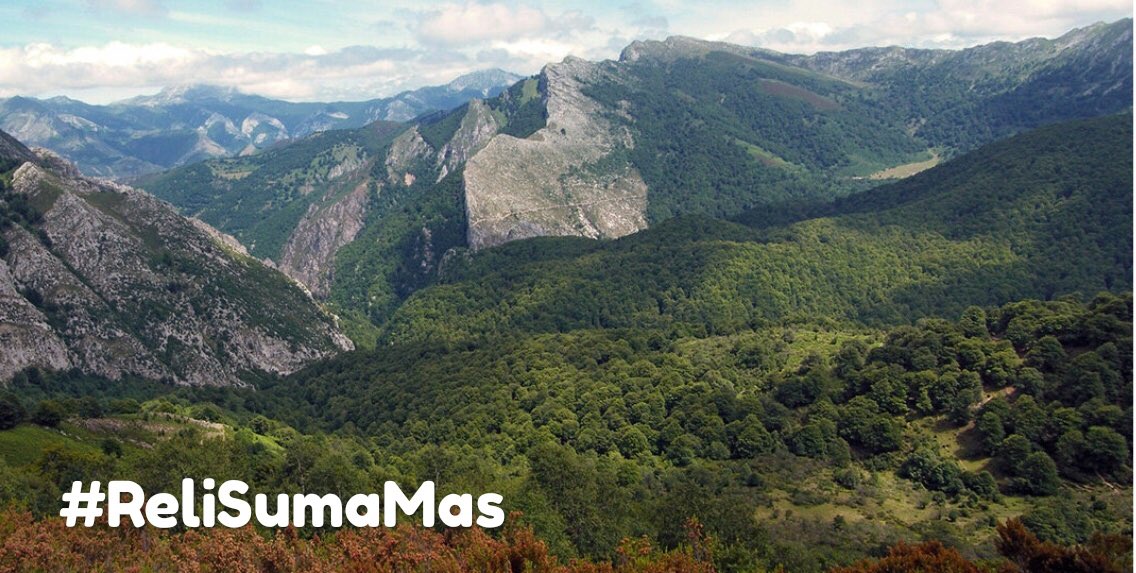 pare2407's tweet image. #ReliSumaMas