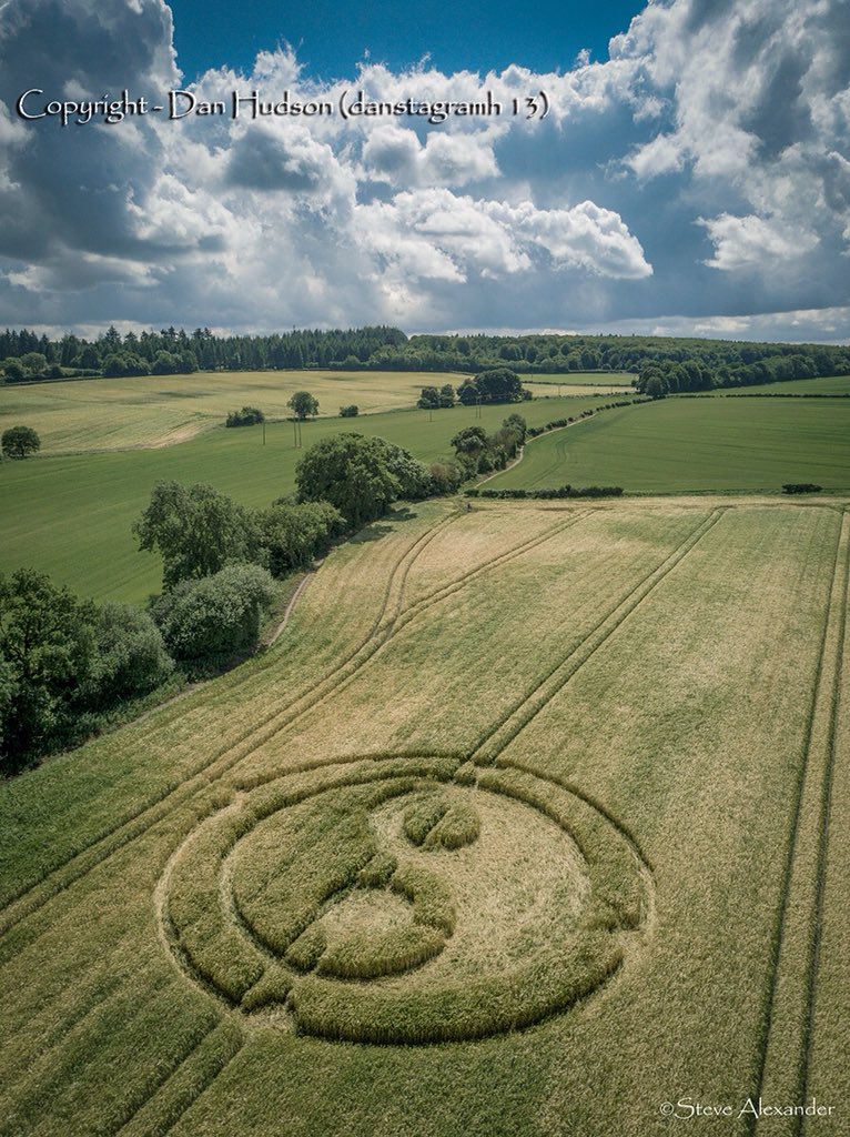 MmeBlahblatsky's tweet photo. English crop circle 2, 30 May, 2020: near Cley Hill, Warminster, Wilts. Maybe not rhubarb quality (yin yang *again*?), but still!
#temporarytemples
#stevealexander https://t.co/sOBPxl1zXV