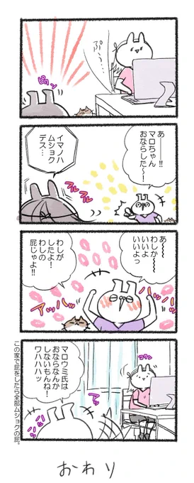 マロちゃんは妖精?#るーさん #るー3 #日常 #日記 #4コマ漫画  